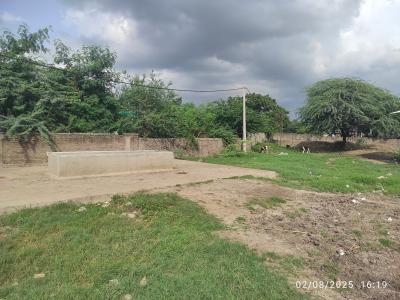 Whatsapp Image 2025 11 13 At 5.42.42 Pm 2